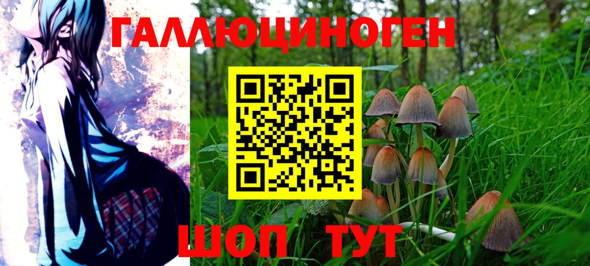 Галлюциногенные грибы Cubensis  Вход с VPN  Коммунар 